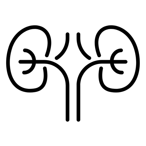 300+ Nephrology Notes