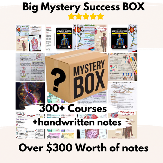 Big Mystery Box